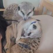 ヒメ日記 2026/02/22 19:24 投稿 みのり　男を狂わせる黒髪美女 今ドキ マットMAX