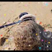 ヒメ日記 2026/02/22 19:34 投稿 みのり　男を狂わせる黒髪美女 今ドキ マットMAX