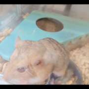 ヒメ日記 2026/02/23 07:19 投稿 みのり　男を狂わせる黒髪美女 今ドキ マットMAX