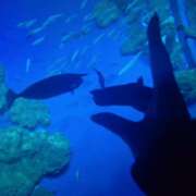 ヒメ日記 2026/02/23 12:36 投稿 みのり　男を狂わせる黒髪美女 今ドキ マットMAX