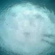 ヒメ日記 2026/02/24 20:10 投稿 みのり　男を狂わせる黒髪美女 今ドキ マットMAX