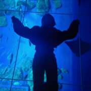 ヒメ日記 2026/02/25 06:01 投稿 みのり　男を狂わせる黒髪美女 今ドキ マットMAX