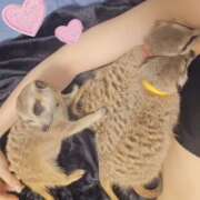 ヒメ日記 2026/02/25 22:54 投稿 みのり　男を狂わせる黒髪美女 今ドキ マットMAX