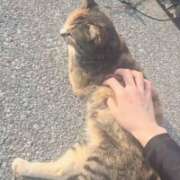 ヒメ日記 2026/02/27 07:52 投稿 みのり　男を狂わせる黒髪美女 今ドキ マットMAX