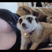 ヒメ日記 2026/03/01 08:52 投稿 みのり　男を狂わせる黒髪美女 今ドキ マットMAX