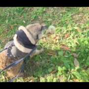 ヒメ日記 2026/03/02 06:52 投稿 みのり　男を狂わせる黒髪美女 今ドキ マットMAX