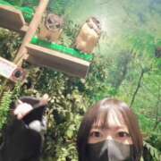 ヒメ日記 2026/03/02 07:18 投稿 みのり　男を狂わせる黒髪美女 今ドキ マットMAX