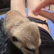 ヒメ日記 2026/03/02 19:10 投稿 みのり　男を狂わせる黒髪美女 今ドキ マットMAX