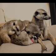 ヒメ日記 2026/03/02 22:08 投稿 みのり　男を狂わせる黒髪美女 今ドキ マットMAX