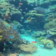 ヒメ日記 2026/03/03 06:09 投稿 みのり　男を狂わせる黒髪美女 今ドキ マットMAX