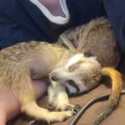 ヒメ日記 2026/03/03 20:55 投稿 みのり　男を狂わせる黒髪美女 今ドキ マットMAX