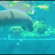 ヒメ日記 2026/03/04 06:50 投稿 みのり　男を狂わせる黒髪美女 今ドキ マットMAX