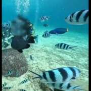 ヒメ日記 2026/03/04 07:09 投稿 みのり　男を狂わせる黒髪美女 今ドキ マットMAX