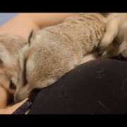 ヒメ日記 2026/03/04 22:02 投稿 みのり　男を狂わせる黒髪美女 今ドキ マットMAX