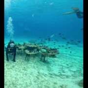 ヒメ日記 2026/03/05 07:25 投稿 みのり　男を狂わせる黒髪美女 今ドキ マットMAX