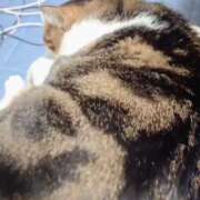 ヒメ日記 2026/03/06 21:56 投稿 みのり　男を狂わせる黒髪美女 今ドキ マットMAX