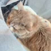 ヒメ日記 2026/03/07 09:37 投稿 みのり　男を狂わせる黒髪美女 今ドキ マットMAX