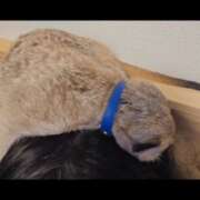 ヒメ日記 2026/03/26 23:12 投稿 みのり　男を狂わせる黒髪美女 今ドキ マットMAX