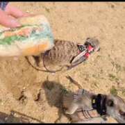 ヒメ日記 2026/03/27 12:22 投稿 みのり　男を狂わせる黒髪美女 今ドキ マットMAX