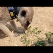 ヒメ日記 2026/03/27 14:41 投稿 みのり　男を狂わせる黒髪美女 今ドキ マットMAX