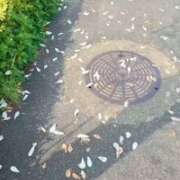 ヒメ日記 2026/03/28 09:38 投稿 みのり　男を狂わせる黒髪美女 今ドキ マットMAX