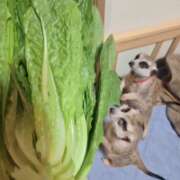 ヒメ日記 2026/03/28 18:12 投稿 みのり　男を狂わせる黒髪美女 今ドキ マットMAX