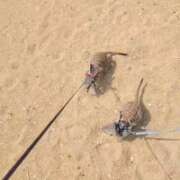 ヒメ日記 2026/03/28 19:27 投稿 みのり　男を狂わせる黒髪美女 今ドキ マットMAX