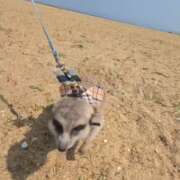 ヒメ日記 2026/03/29 18:11 投稿 みのり　男を狂わせる黒髪美女 今ドキ マットMAX