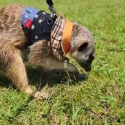 ヒメ日記 2026/03/30 16:43 投稿 みのり　男を狂わせる黒髪美女 今ドキ マットMAX