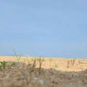 ヒメ日記 2026/03/31 09:27 投稿 みのり　男を狂わせる黒髪美女 今ドキ マットMAX