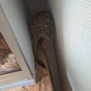 ヒメ日記 2026/03/31 15:51 投稿 みのり　男を狂わせる黒髪美女 今ドキ マットMAX