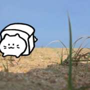 ヒメ日記 2026/04/01 06:33 投稿 みのり　男を狂わせる黒髪美女 今ドキ マットMAX