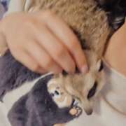 ヒメ日記 2026/04/02 22:52 投稿 みのり　男を狂わせる黒髪美女 今ドキ マットMAX