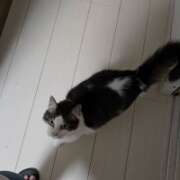 ヒメ日記 2026/04/03 07:38 投稿 みのり　男を狂わせる黒髪美女 今ドキ マットMAX