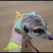 ヒメ日記 2026/04/03 14:29 投稿 みのり　男を狂わせる黒髪美女 今ドキ マットMAX