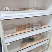 ヒメ日記 2026/04/04 12:47 投稿 みのり　男を狂わせる黒髪美女 今ドキ マットMAX