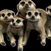 ヒメ日記 2026/04/06 16:43 投稿 みのり　男を狂わせる黒髪美女 今ドキ マットMAX