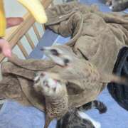 ヒメ日記 2026/04/07 09:27 投稿 みのり　男を狂わせる黒髪美女 今ドキ マットMAX