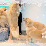 ヒメ日記 2026/04/10 15:57 投稿 みのり　男を狂わせる黒髪美女 今ドキ マットMAX