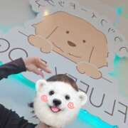 ヒメ日記 2026/04/10 23:01 投稿 みのり　男を狂わせる黒髪美女 今ドキ マットMAX