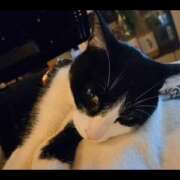 ヒメ日記 2026/04/11 20:20 投稿 みのり　男を狂わせる黒髪美女 今ドキ マットMAX