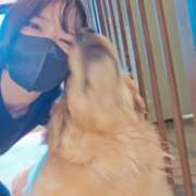 ヒメ日記 2026/04/12 04:50 投稿 みのり　男を狂わせる黒髪美女 今ドキ マットMAX