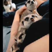 ヒメ日記 2026/04/12 20:23 投稿 みのり　男を狂わせる黒髪美女 今ドキ マットMAX