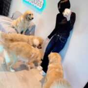 ヒメ日記 2026/04/13 06:11 投稿 みのり　男を狂わせる黒髪美女 今ドキ マットMAX