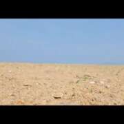 ヒメ日記 2026/04/13 08:05 投稿 みのり　男を狂わせる黒髪美女 今ドキ マットMAX