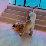 ヒメ日記 2026/04/13 16:41 投稿 みのり　男を狂わせる黒髪美女 今ドキ マットMAX