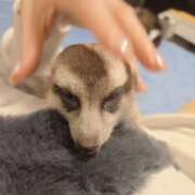 ヒメ日記 2026/04/14 20:55 投稿 みのり　男を狂わせる黒髪美女 今ドキ マットMAX