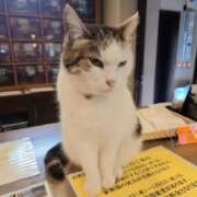 ヒメ日記 2026/04/15 16:50 投稿 みのり　男を狂わせる黒髪美女 今ドキ マットMAX