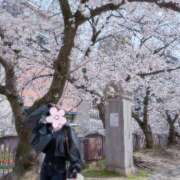 ヒメ日記 2026/04/16 07:20 投稿 みのり　男を狂わせる黒髪美女 今ドキ マットMAX