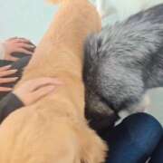 ヒメ日記 2026/04/17 23:36 投稿 みのり　男を狂わせる黒髪美女 今ドキ マットMAX